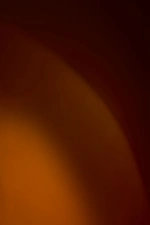 Lands' End - Win A Limited-Edition Designer Tote!