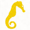 Seahorse